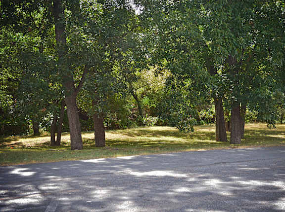 a road in a park with trees at Archer Village Apartments, TX, 75092