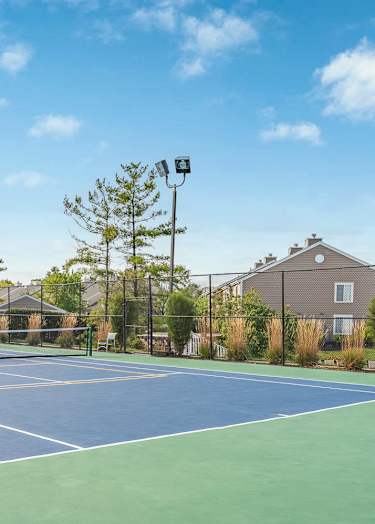 a blue and green tennis court with trees in the background at Enclave, Beavercreek, Ohio
