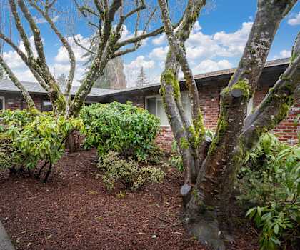 a yard with trees and bushes in front of a brick house