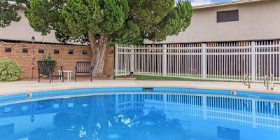 A tree stands next to a pool in a fenced area.