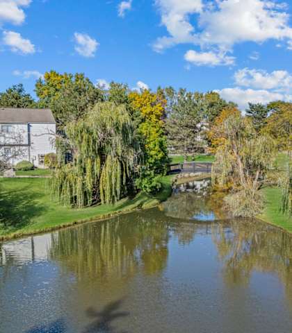 a view of a pond with trees and a building in the background