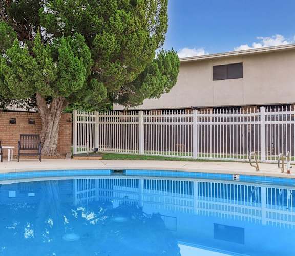 A tree stands next to a pool in a fenced area.