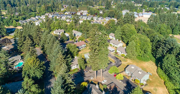 A bird's eye view of a residential area with houses surrounded by trees.