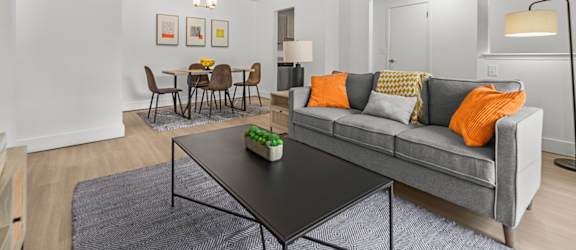 A living room with a grey couch, a black coffee table, and a grey rug.