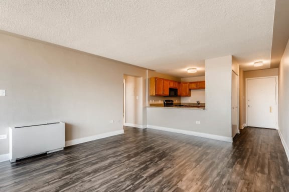 Living Room and Kitchen at Scandia Apartments