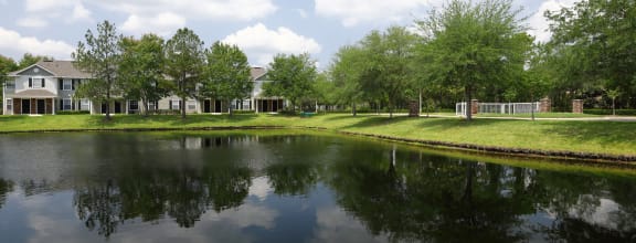 Swimming Pool with Lounge Seating, shaded picnic tables, surrounded by native landscaping