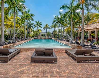 A pool surrounded by palm trees and lounge chairs.