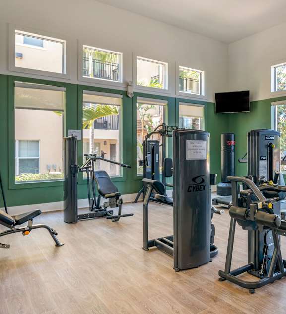A gym with a variety of equipment including treadmills, weights, and exercise machines.