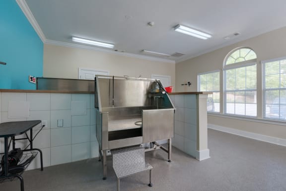 Dog Spa room at 150 Summit Apartments, Birmingham, AL