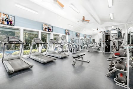 A gym with treadmills, weights, and exercise equipment.
