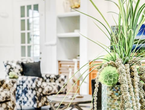 Close up of Plant with Armchairs in the Background