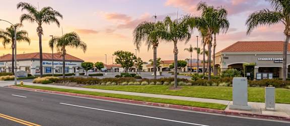 A street view with palm trees and a building named "Stanbridge Center".