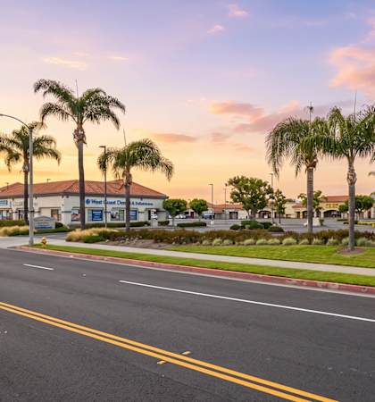 A street view with palm trees and a building named "Stanbridge Center".
