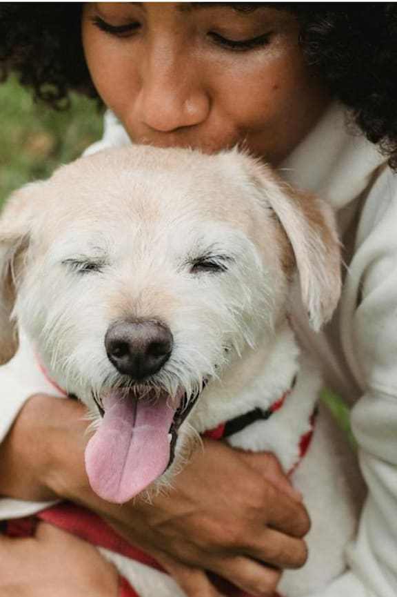 A person is hugging a white dog with its tongue out.