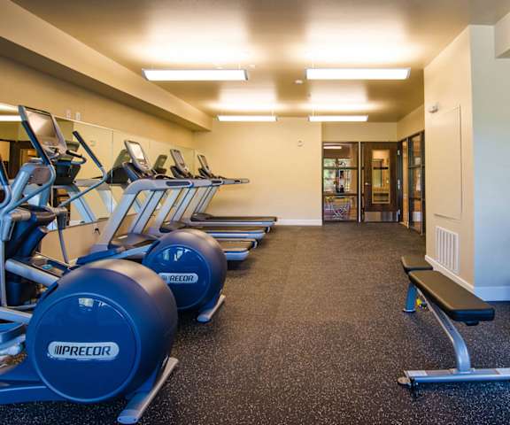 Siena Fitness Center with Modern Equipment A spacious gym with cardio machines, windows, TVs, and weights at Siena Apartment Homes.