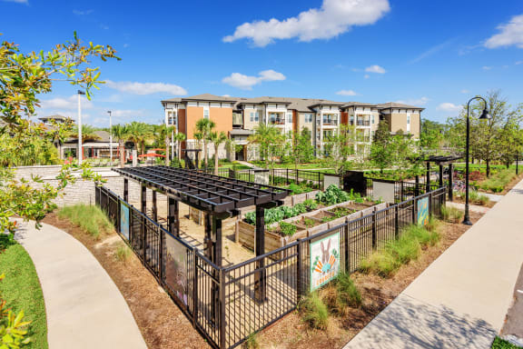 Nona Park Village Apartments pool area community garden