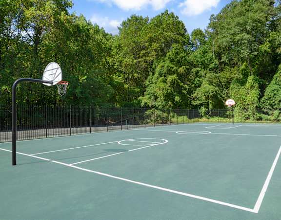 A basketball court surrounded by trees.