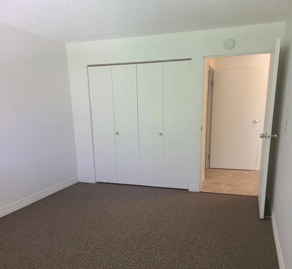 an empty room with a carpeted floor and a white closet with a door open