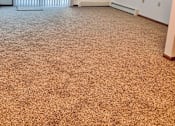 Thumbnail 2 of 17 - Living Room Foster Apartments 207 E May St Gladwin, MI 48624