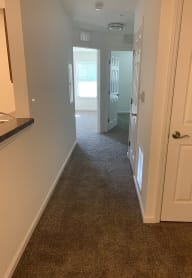 a hallway with a carpeted floor and a white door