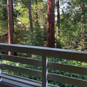 the view from the deck of a cabin with trees