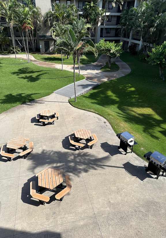 A park with benches and trees.