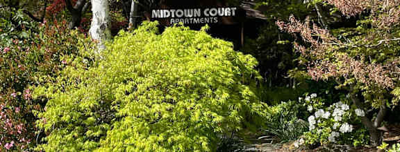 720-738 Sutter Townhomes