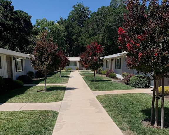 a long sidewalk in a neighborhood with houses and trees
