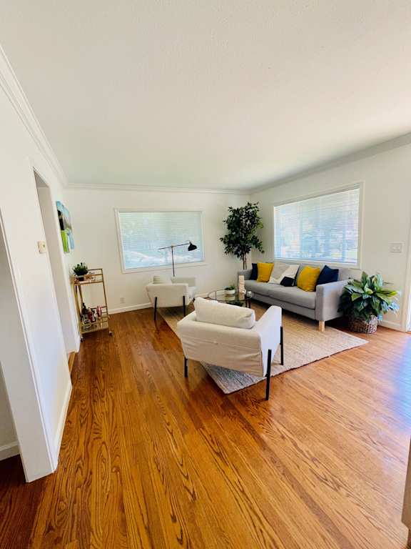 staged apartment living room