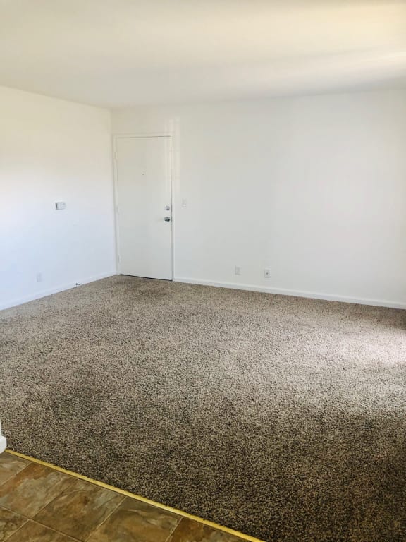 Mariner Village 1 Bedroom 1 Bathroom B Living Room