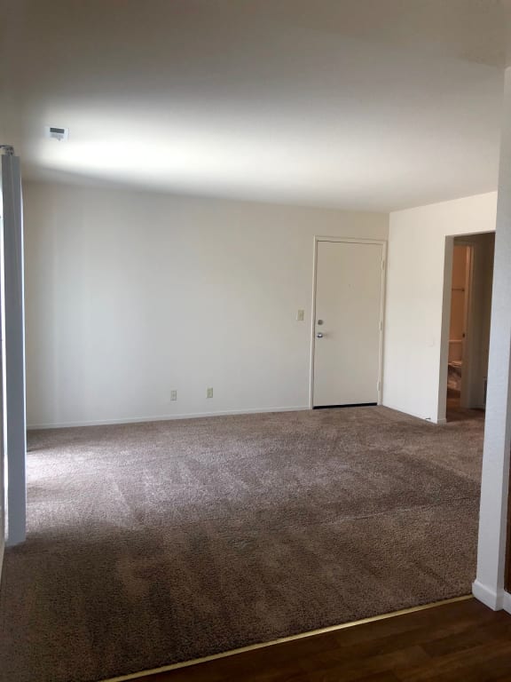 Mariner Village 1 Bedroom 1 Bathroom Living Room