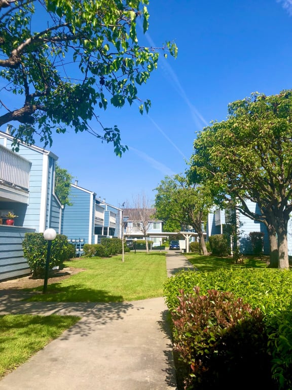 Property Walkway