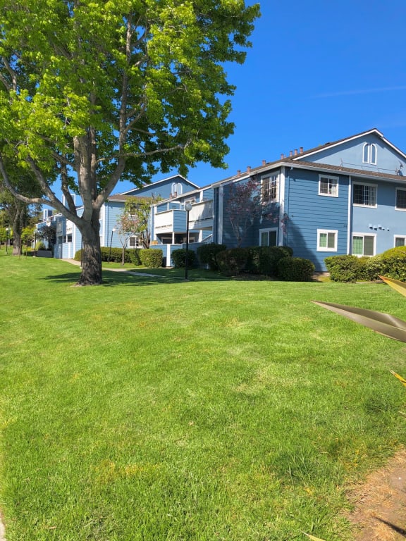 Property West end View