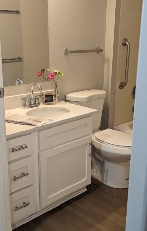 an overhead view of a bathroom with a sink and toilet