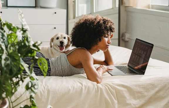 A person is sitting on a bed with a laptop, a dog is lying on the bed beside the person.