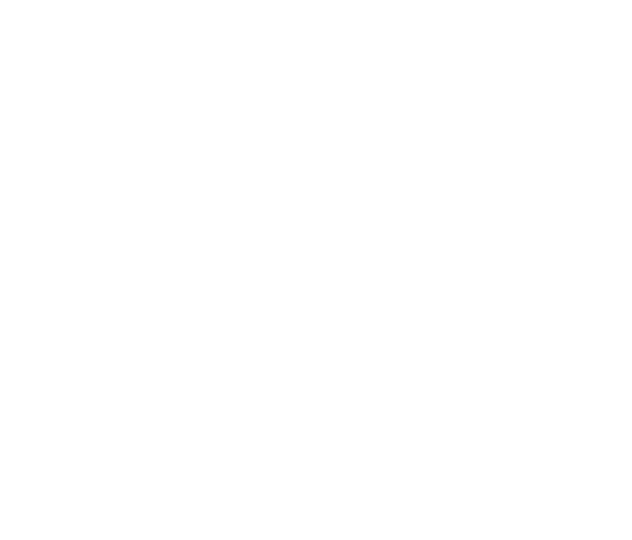 TheVillagesAtSunnybrook_Logo_WHITE