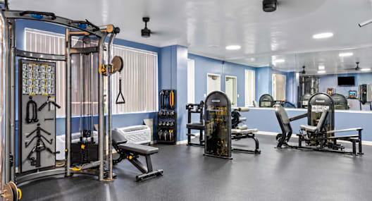 A gym with a variety of equipment including a squat rack, bench, and weights.