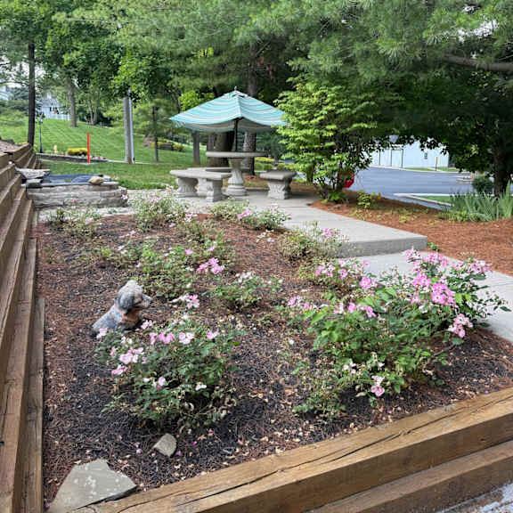  A garden with a wooden border and pink flowers.