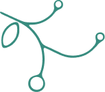 A blue line drawing of a branch with circles.