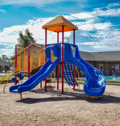 Cathys Pointe_Playground
