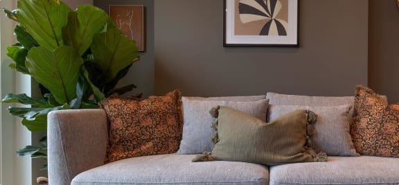 a couch with pillows and a plant in a living room