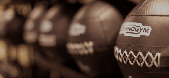 two brown boxing gloves with the gym logo on them