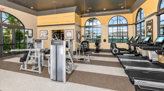 Gym  at Palm Ranch Luxury Apartments in Davie, FL
