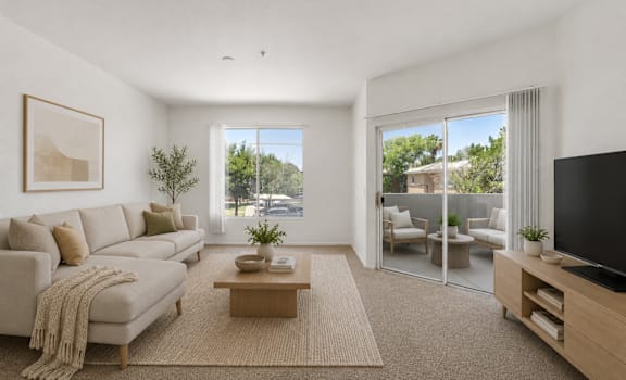 A living room with a couch, a coffee table, and a television.