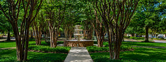 A pathway in a park with trees on both sides.