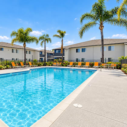 A large swimming pool surrounded by palm trees and lounge chairs.