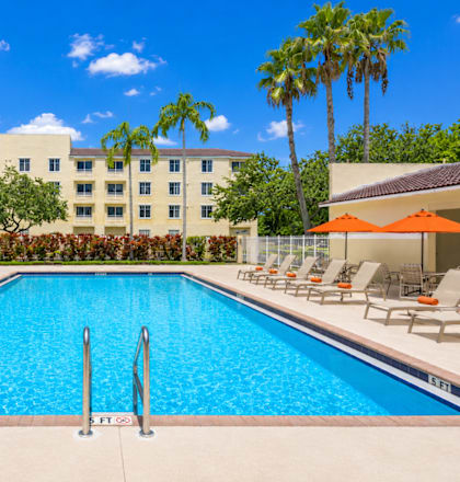 A large swimming pool surrounded by lounge chairs and palm trees.