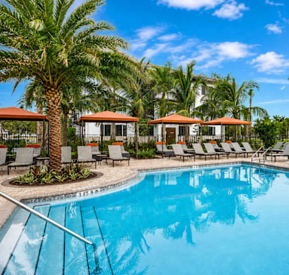 A swimming pool surrounded by palm trees and lounge chairs.