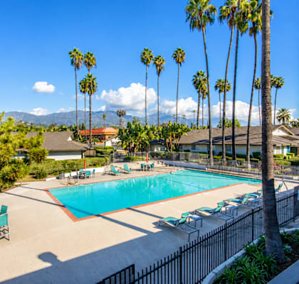 A pool surrounded by palm trees and lounge chairs.
