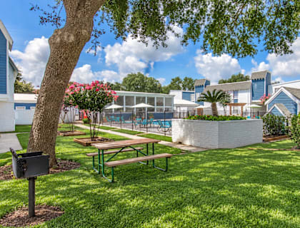 A tree with a mailbox stands in a grassy area with a picnic table and a pool in the background.